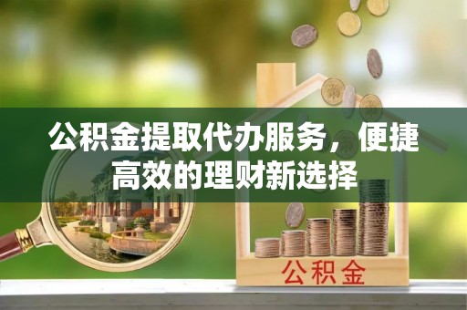金湾公积金提取代办服务，便捷高效的理财新选择